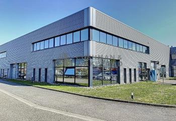 Location bureau Niederhausbergen (67207) - 585 m² à Niederhausbergen - 67207