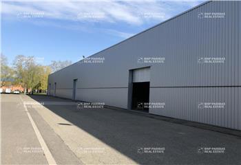 Location activité/entrepôt Bischheim (67800) - 1284 m² à Bischheim - 67800