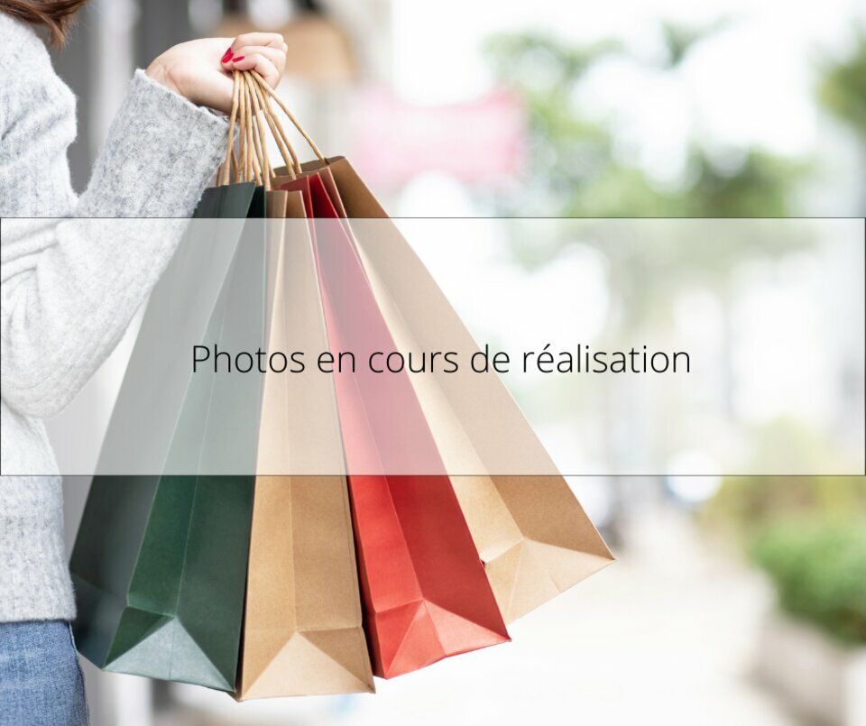 Vente local commercial 300 m² non divisibles