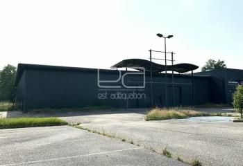 Local d'activité à vendre Dombasle-sur-Meurthe - Proche A33