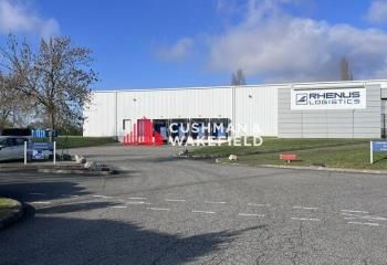 Location entrepôt Lespinasse - Proche A62 et Toulouse