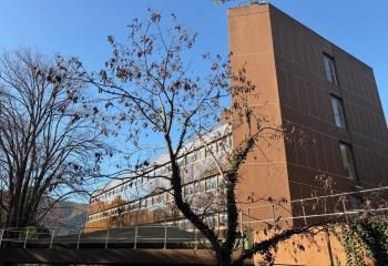 Location bureaux Marseille 11 - Parc arboré, proche bus et A50