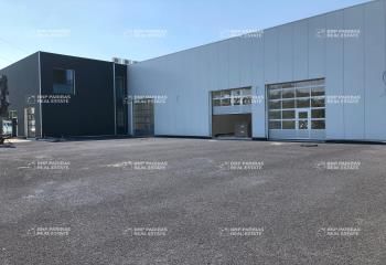 Location local d'activité Hoerdt - Visibilité autoroute Allemagne