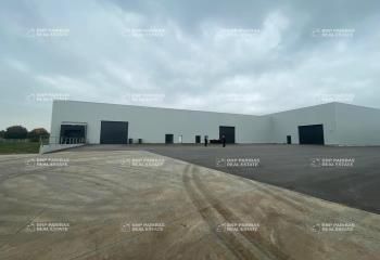 Location entrepôt Sars-et-Rosières - Proche Lille