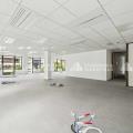 Location de bureau de 885 m² à Boulogne-Billancourt - 92100 photo - 7