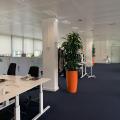 Location de bureau de 3 957 m² à Lille - 59000 photo - 11