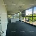 Location de bureau de 869 m² à Schiltigheim - 67300 photo - 11