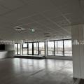 Location de bureau de 561 m² à Schiltigheim - 67300 photo - 3