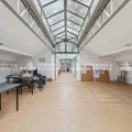 Location de local commercial de 540 m² à Boulogne-Billancourt - 92100 photo - 14