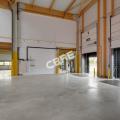 Location d'entrepôt de 3 287 m² à Brie-Comte-Robert - 77170 photo - 4