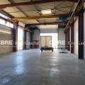 Location d'entrepôt de 227 m² à Herrlisheim - 67850 photo - 3