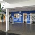 Location d'entrepôt de 767 m² à Le Palais-sur-Vienne - 87410 photo - 8