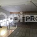 Location d'entrepôt de 507 m² à Limoges - 87000 photo - 7