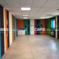 Location d'entrepôt de 881 m² à Obernai - 67210 photo - 12