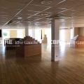 Location d'entrepôt de 881 m² à Obernai - 67210 photo - 15