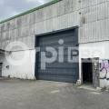 Location d'entrepôt de 1 408 m² à Rignieux-le-Franc - 01800 photo - 3