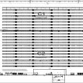 Location d'entrepôt de 36 842 m² à Saint-Étienne - 42000 plan - 1