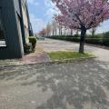 Location d'entrepôt de 450 m² à Trappes - 78190 photo - 7