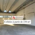 Location d'entrepôt de 1 338 m² à Vendargues - 34740 photo - 1