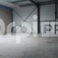 Location d'entrepôt de 192 m² à Vrigny - 51390 photo - 4