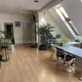 Vente de bureau de 1 659 m² à Strasbourg - 67000 photo - 5