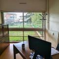 Vente de bureau de 448 m² à Toulouse - 31000 photo - 15