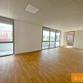 Local commercial en vente de 820 m² à Muret - 31600 photo - 4