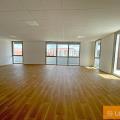 Local commercial en vente de 820 m² à Muret - 31600 photo - 5