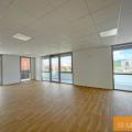 Local commercial en vente de 820 m² à Muret - 31600 photo - 7