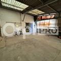 Vente d'entrepôt de 700 m² à Sains-en-Gohelle - 62114 photo - 8