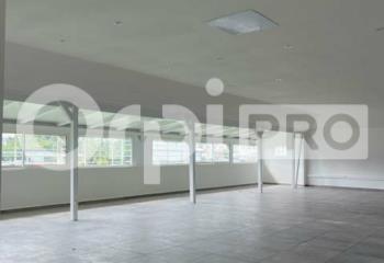 Location bureau Les Abymes (97139) - 320 m² à Les Abymes - 97139