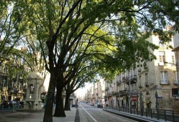 Location bureau Bordeaux (33000) - 250 m²