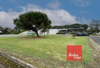 Location bureau Castelsarrasin (82100) - 805 m²