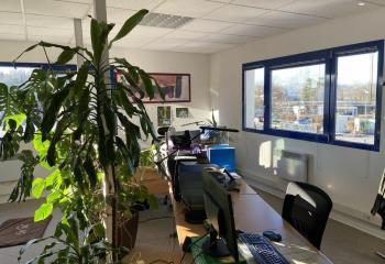 Location bureau Habsheim (68440) - 163 m² à Habsheim - 68440