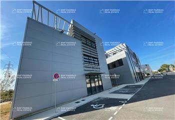 Location bureau Montpellier (34070) - 805 m² à Montpellier - 34000