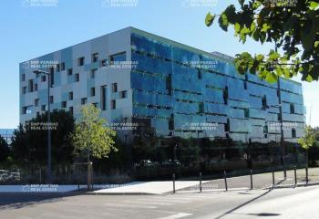 Location bureau Montpellier (34000) - 361 m² à Montpellier - 34000