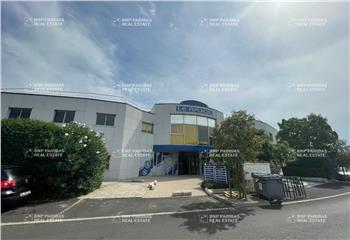 Location Bureaux 543.5 m² divisibles à Montpellier - 34000