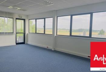 Location bureau Niederhausbergen (67207) - 1755 m² à Niederhausbergen - 67207