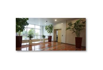 Location bureau Noisy-le-Grand (93160) - 346 m² à Noisy-le-Grand - 93160