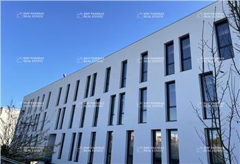 Location bureau Rennes (35000) - 1511 m² à Rennes - 35000