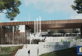 Location bureau Sophia Antipolis (06560) - 1556 m²