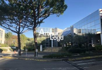 Location bureau Sophia Antipolis (06560) - 297 m² à Sophia Antipolis - 06560