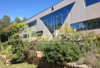 Location bureau Sophia Antipolis (06560) - 428 m²