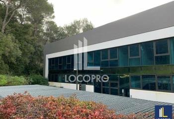 Location bureau Sophia Antipolis (06560) - 70 m² à Sophia Antipolis - 06560