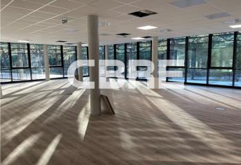 Location bureau Sophia Antipolis (06560) - 494 m² à Sophia Antipolis - 06560