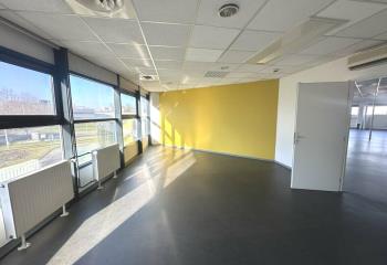 Location bureau Strasbourg (67100) - 444 m² à Strasbourg - 67000