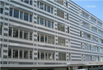 Location bureau Toulouse (31400) - 79 m²
