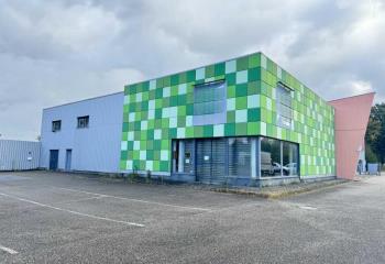 Location local commercial Schweighouse-sur-Moder (67590) - 549 m² à Schweighouse-sur-Moder - 67590