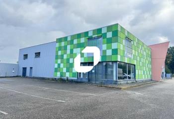 Location local commercial Schweighouse-sur-Moder (67590) - 549 m² à Schweighouse-sur-Moder - 67590