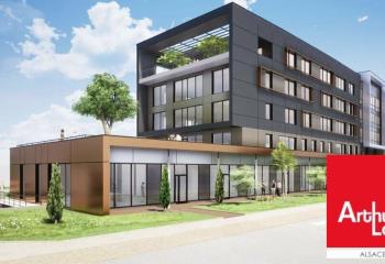 Location local commercial Strasbourg (67200) - 1537 m² à Strasbourg - 67000